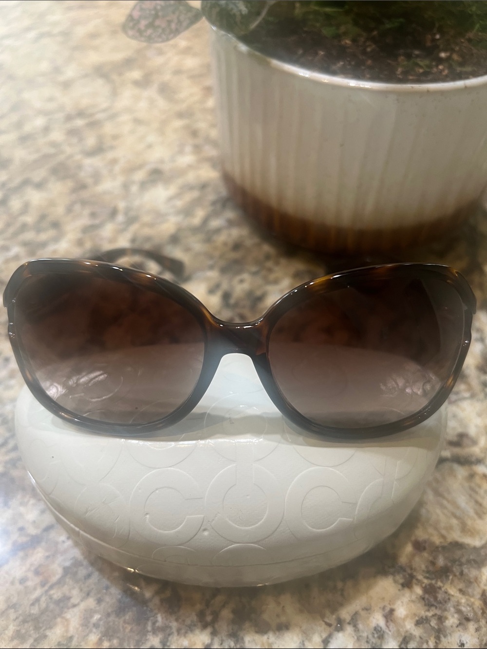 Coach Oversized Sunglasses in Tortoise Shell with Brown Lenses - Picture 3 of 3